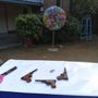Gun Shooting